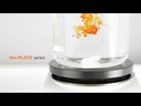 youtube - [Video]